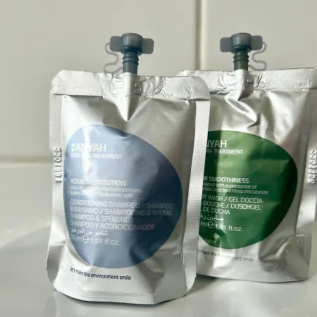 Coc - Soleil Levant * Wissant